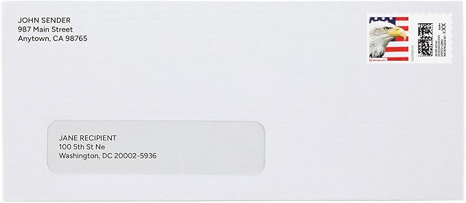 Bald Eagle NetStamps 120-Pack (5 Sheets) Printable Postage Labels (Stamps.com Subscription Required) - Print Approved Postage - Inkjet & Laser Printers - Business, Personal, Home