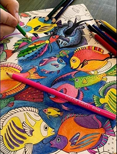 Color Swell Bulk Colored Pencil Packs 60 Sets 12 Count Assorted Vibrant Pre-Sharpened Colors 720 Total Perfect for Kids, Teachers and Classrooms
