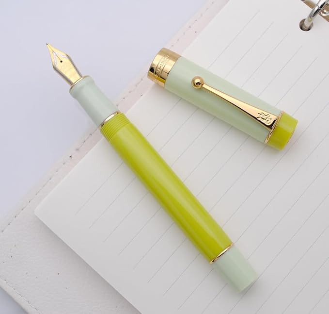 JINHAO 100 Fountain Pen with Ink Converter (Medium Nib 0.7mm, Green Lemon)