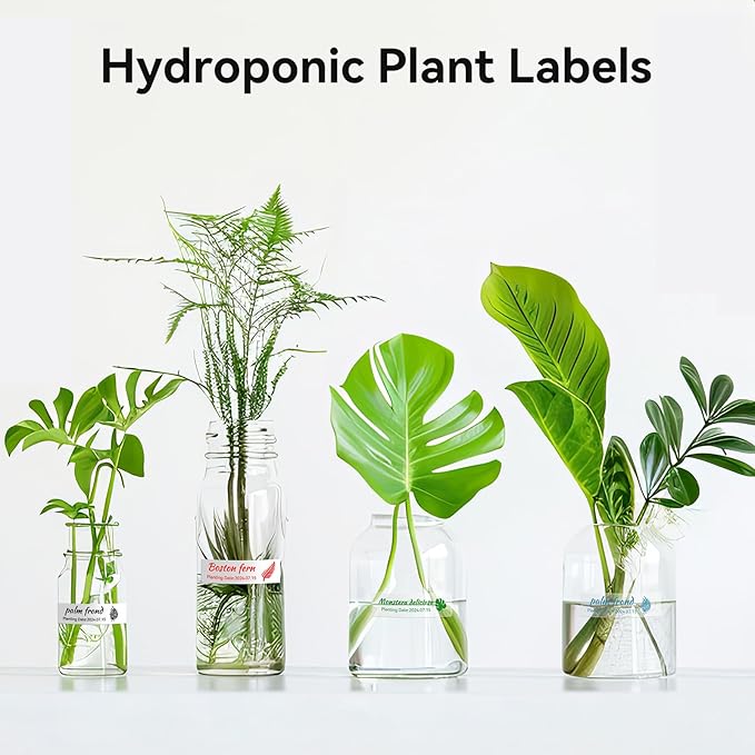 NIIMBOT Thermal Transfer Labels, Only for B18 Label Maker, Durable PET Material, Waterproof and High-Temperature Resistance, Long Storage Time (0.51''×1.77''-Clear Gardening)