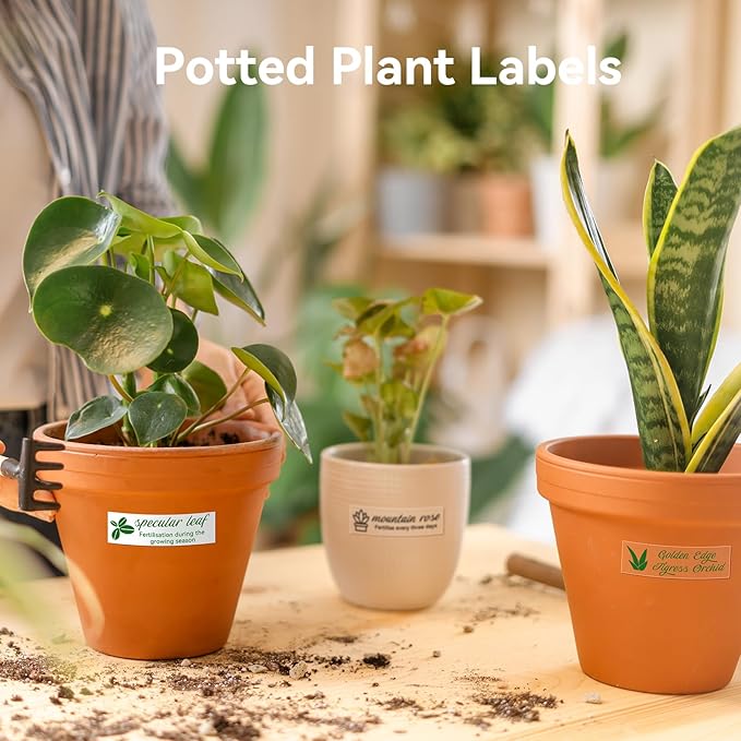 NIIMBOT Thermal Transfer Labels, Only for B18 Label Maker, Durable PET Material, Waterproof and High-Temperature Resistance, Long Storage Time (0.51''×1.77''-Clear Gardening)