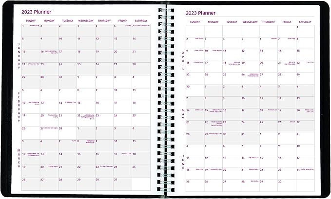 Brownline Essential Collection 14-Month Ruled Monthly Planner, 8.88 x 7.13, Black Cover, 14-Month (Dec to Jan): 2022 to 2024
