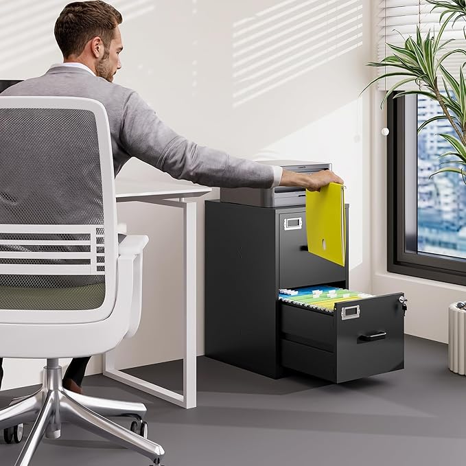 2 Drawer File Cabinet with Lock Vertical Filing Storage Cabinet Office Home Steel Vertical File Cabinets for Letter Size File Cabinet Locked,Assembly Required
