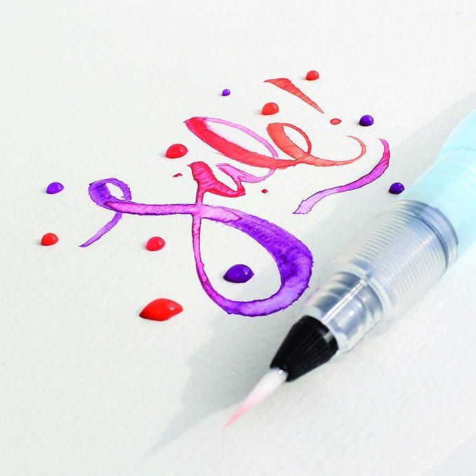 Pentel Arts Aquash Water Brush, Small Brush, Fine Point Tip, 1 Pack (FRHFBP)