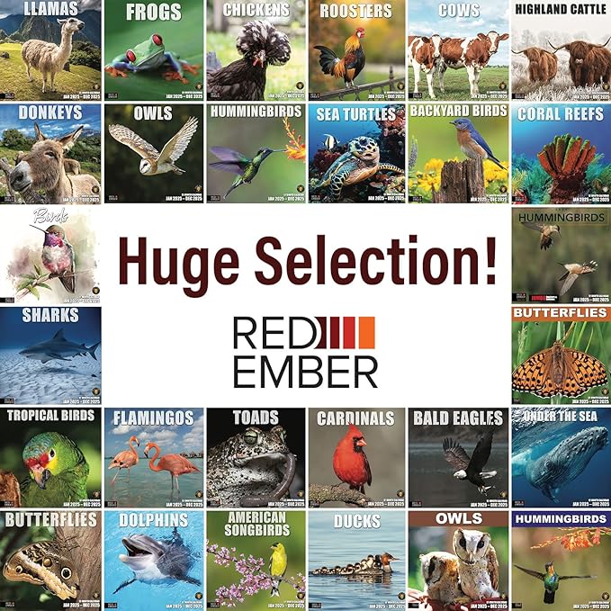 RED EMBER Llamas 2025 Wall Calendar 12 Month | 12" x 24" Open | Thick & Sturdy Paper | Giftable | Calendar 2025