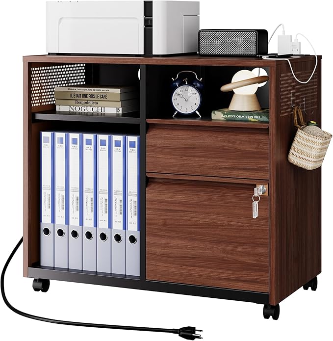 Letaya Mobile 2 Drawer File Cabinet with Lock, Metal Lateral Printer Stand Filing Storage Cabinets with Shelves for Home Office-A4/F4/Letter (Charging Socket)