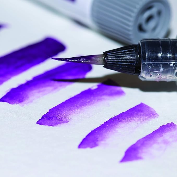 Pentel Arts Aquash Water Brush, Small Brush, Fine Point Tip, 1 Pack (FRHFBP)