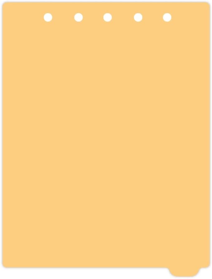 Carstens - Heavy Duty Plastic Ring Binder Dividers, Bottom Tab, 1/9 Cut, Tab 9 Position, US Letter, Pale Orange, Pack of 10, (2619-18) - Ideal Medical Chart Dividers or Index Tabs for 3 Ring Binders