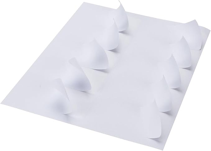 Coopaty 2 x 4 inch Shipping Labels, FBA 10 Up Address Mailing Label White Blank for Laser Inkjet Printer (200 Sheets, 2000 Labels)