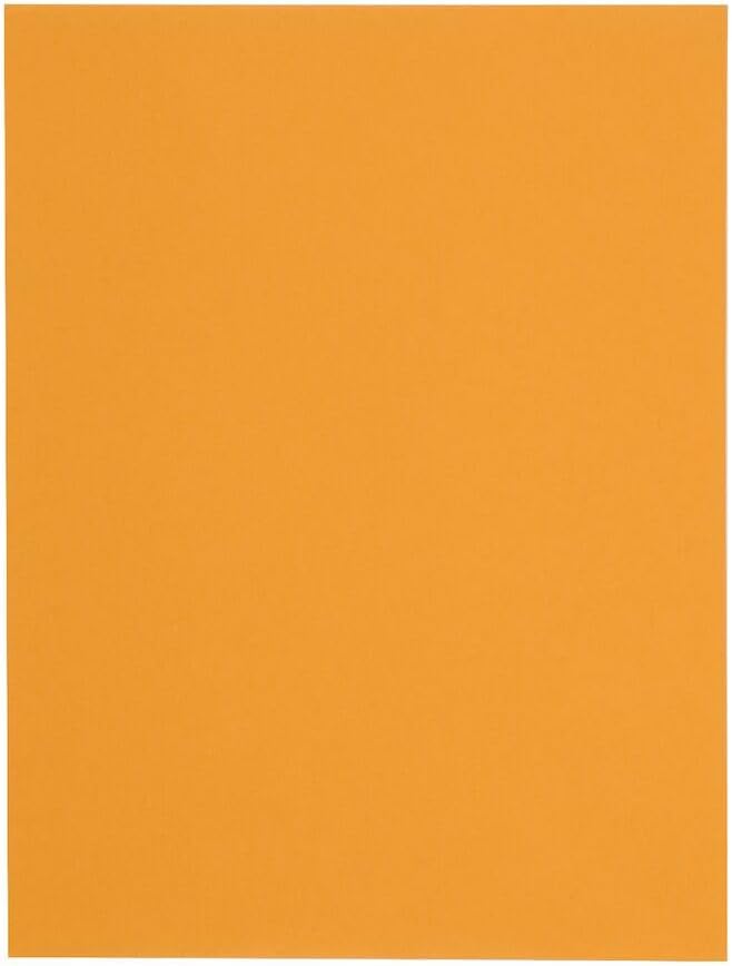 Quality Park 10 x 13 Catalog Envelopes with Self Seal Closure, 28 lb Brown Kraft, Great Option for Mailing, Storage and Organizing, 100 per Box (44762)