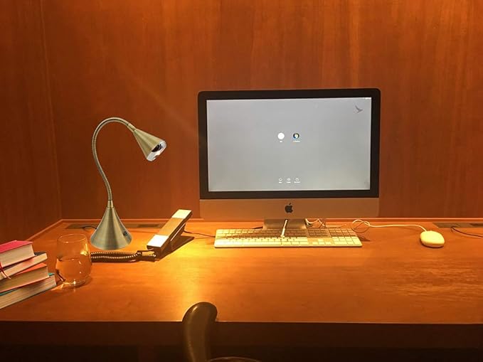 HomeFocus Desk Lamp,Bedside Table Lamp,Dimmable Task Light,Flexible Gooseneck Lamp,3-Touch Brightness & Eye-Caring Reading Light,LED Desk Lamp for Home,College Dorm,Reading,Metal,(Gold).
