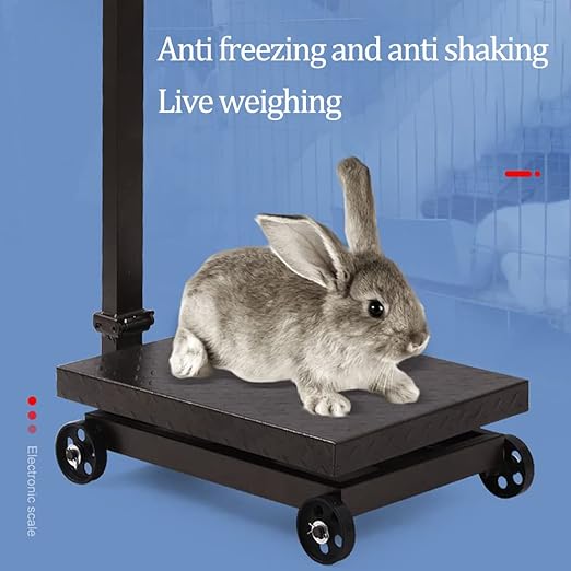 Large Platform Scale with Wheel 660 LB Floor Weight Computing Postal Scale Digital Perfect Industrial Platform Scale Foldable for Postal Luggage Shipping Mailing Weighing