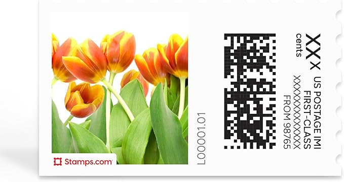 Spring Blossoms NetStamps 1200-Pack (50 Sheets) Printable Postage Labels (Stamps.com Subscription Required) - Print Approved Postage - Inkjet & Laser Printers - Business, Personal, Home