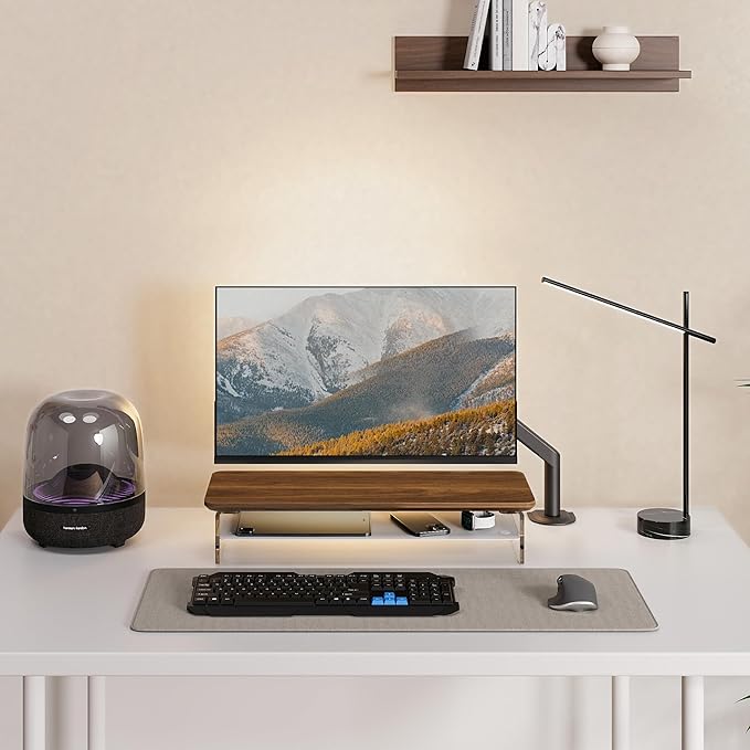 Fenge Acrylic Monitor Stand Riser, 23.6 Inches Monitor Stand with Metal Storage, 2 Tier Acrylic Computer Riser for Desk, Clear Laptop Stand for PC, Laptop, Printer, TV