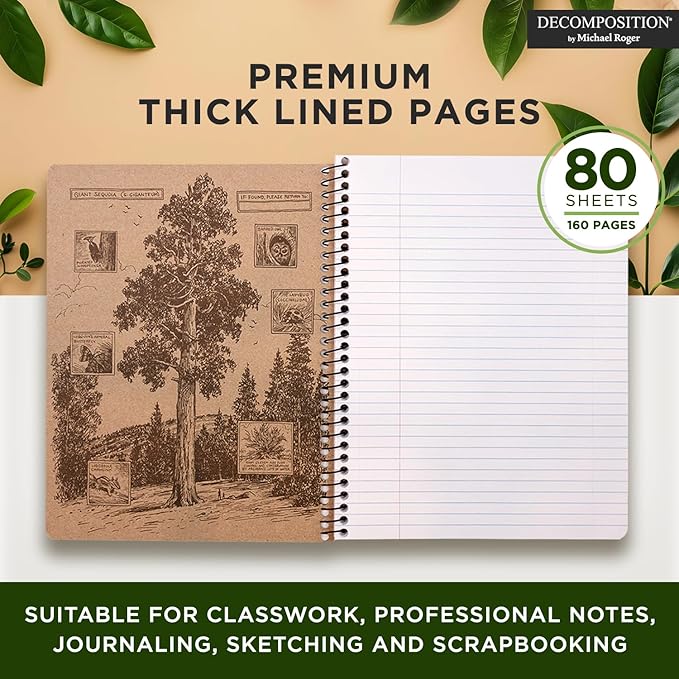 Decomposition 3-Pack Coastal Harmony College Ruled Spiral Notebook - 9.75 x 7.5 Journal, 160 Lined Pages - 100% Recycled Paper - Notebooks for School Supplies, Home & Office - Made in USA