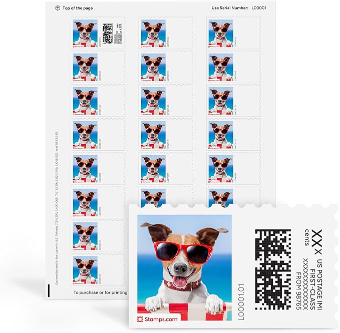 Summer Pup NetStamps 120-Pack (5 Sheets) Printable Postage Labels (Stamps.com Subscription Required) - Print Approved Postage - Inkjet & Laser Printers - Business, Personal, Home