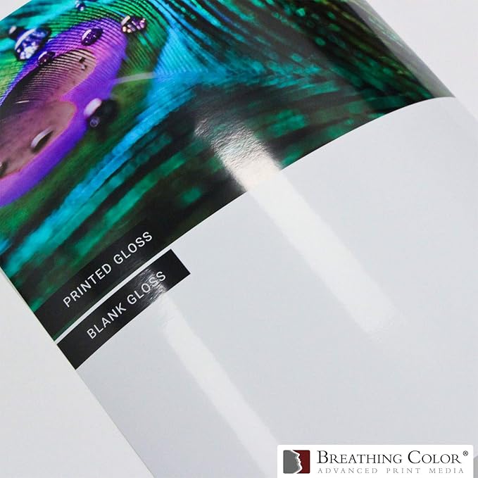 Vibrance Gloss Photo Printer Paper 10 mil 255 gsm Glossy Finish Premium Photo Paper Roll on 3in Core 17 inches x 10 feet Works with Most Inkjet Printers Including Professional Makes and Models