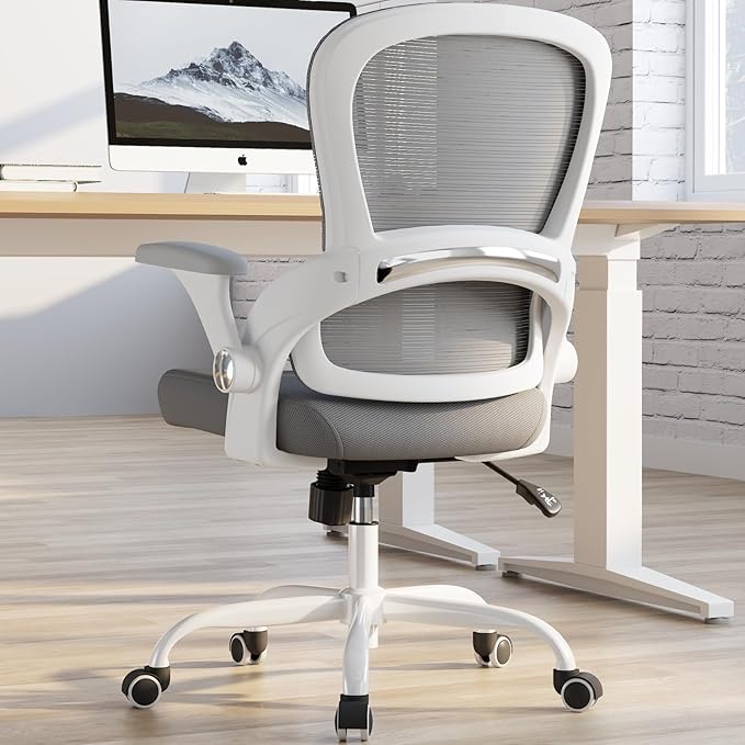 TRALT Ergonomic Office Chair - Comfy Desk Chair with Back Support, Home Office Desk Chairs, Computer Chair, 330lbs Wide Seat Big and Tall Office Chair for Executives (Grey)