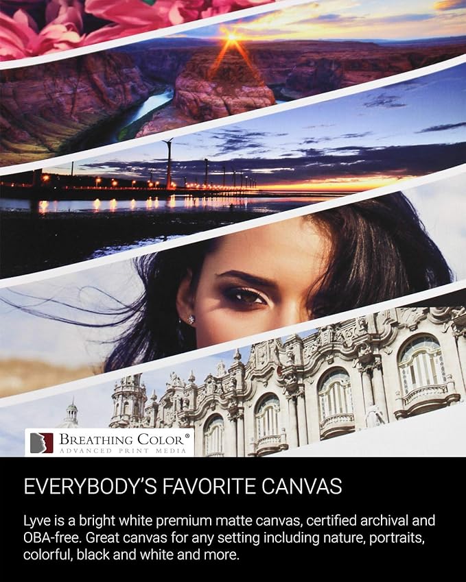 Premium Lyve Matte Canvas Sheets Professionals choice for Archival Inkjet for Use on Epson, Canon and HP printers. 13 inch x 19 inch 25 sheets