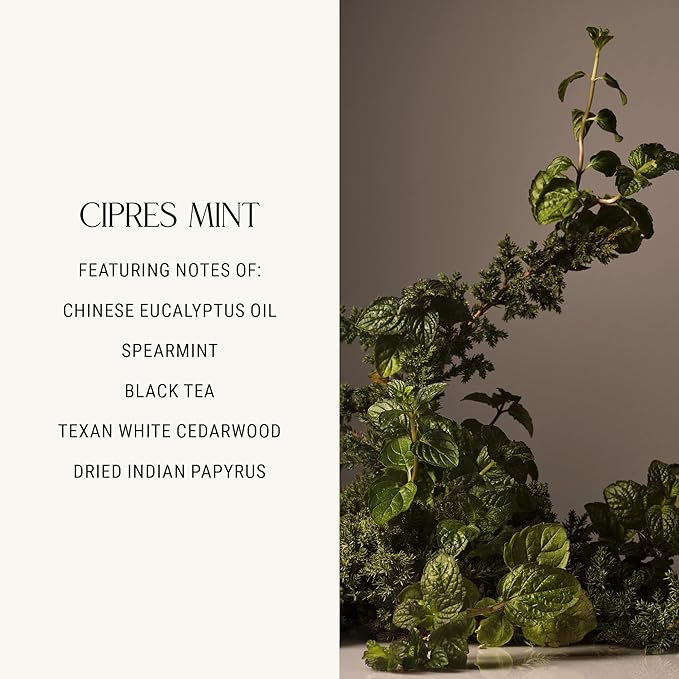 Homecourt All-Purpose Surface Cleaner Spray, Lifts Away Dirt, Smudges & Grease, For Bathroom, Kitchen & more, Clean Formula, Cipres Mint, 16 fl oz