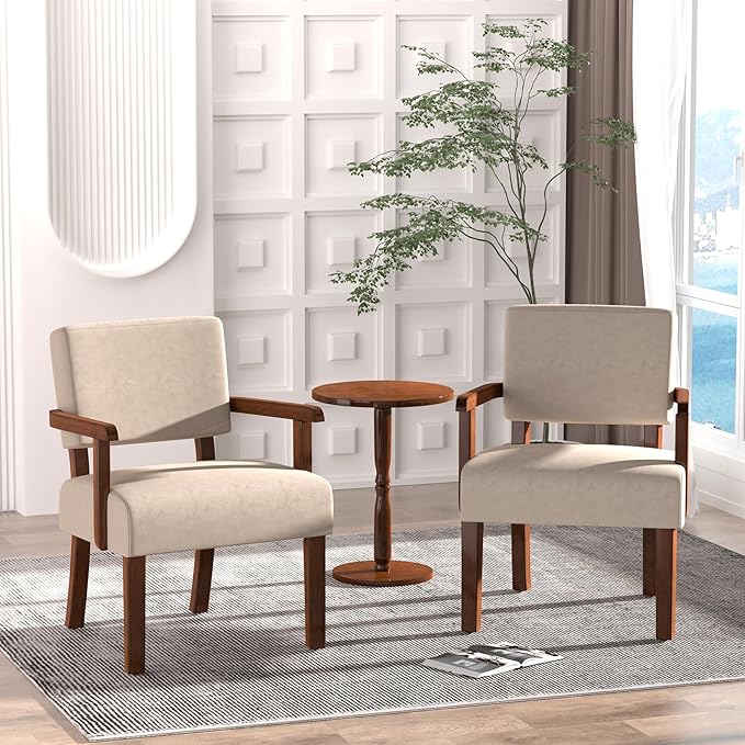 Accent Chair, Cat-Scratch Velvet Living Room Chairs Oversize with Soft Seat and Armrests for Dinning Room Bedroom Reading Room Waiting Room