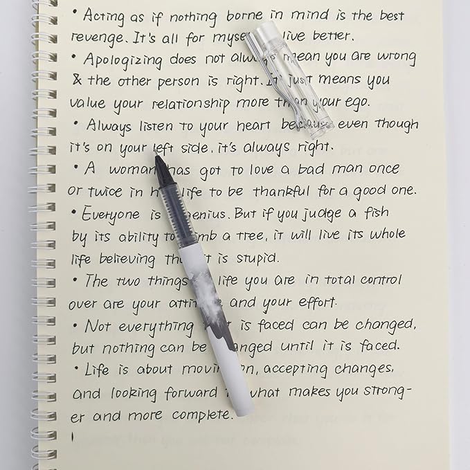 Fengtaiyuan LQB05P12 Straight Liquid Ballpoint Pen - Black Ink, 0.5mm Bullet Head, Smooth Writing, 12 Count (Black05P12)