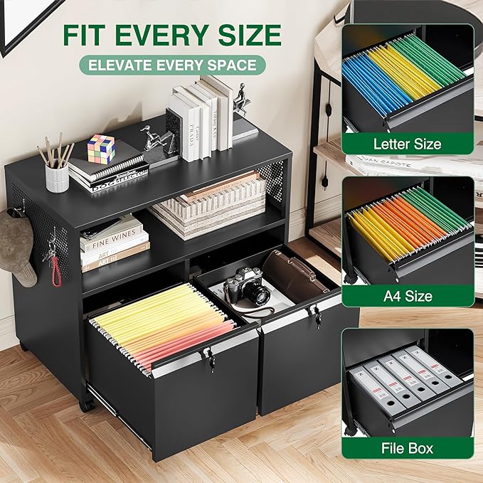 Metal File Cabinet,2 Drawer Filing Cabinet with Lock,Rolling Printer Stand Storage Cabinets with Shelves for Home Office Letter/Legal/A4 Size Files(Black)