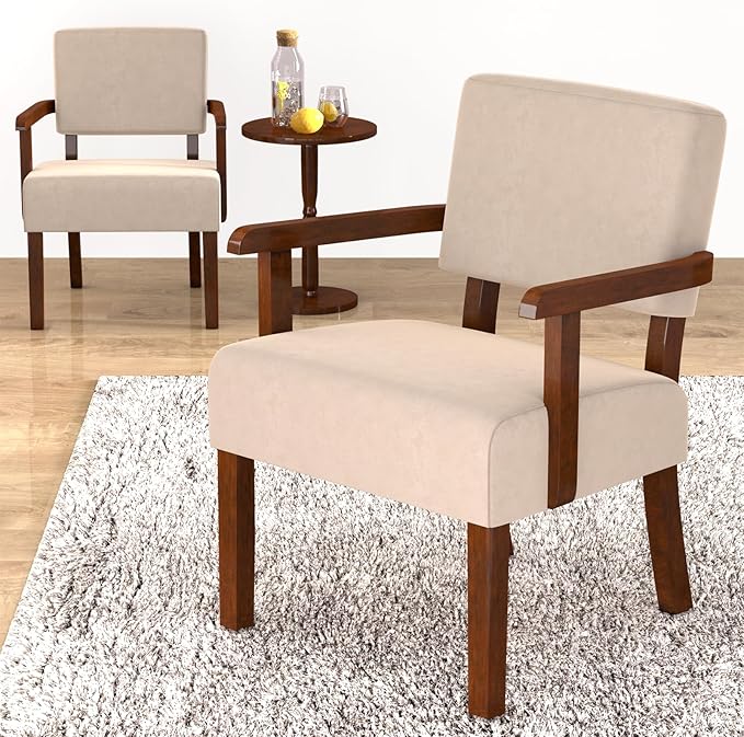Accent Chair, Cat-Scratch Velvet Living Room Chairs Oversize with Soft Seat and Armrests for Dinning Room Bedroom Reading Room Waiting Room