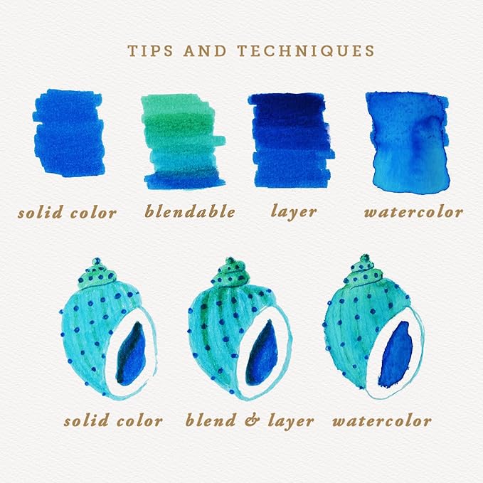 Primrosia 12 Dual Tip Watercolor Marker Pens - Fine Tip & Brush Tips, Professional Quality, 4 x Sticker Sheets, Blendable, Non-Toxic, Perfect for Calligraphy, Drawing & Coloring. (Coastal)