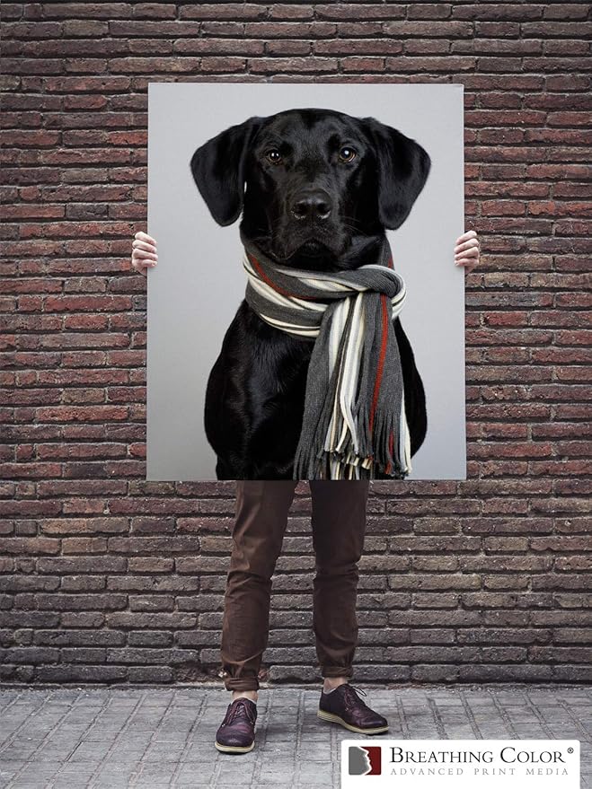 Premium Lyve Matte Canvas Sheets Professionals choice for Archival Inkjet for Use on Epson, Canon and HP printers. 13 inch x 19 inch 25 sheets