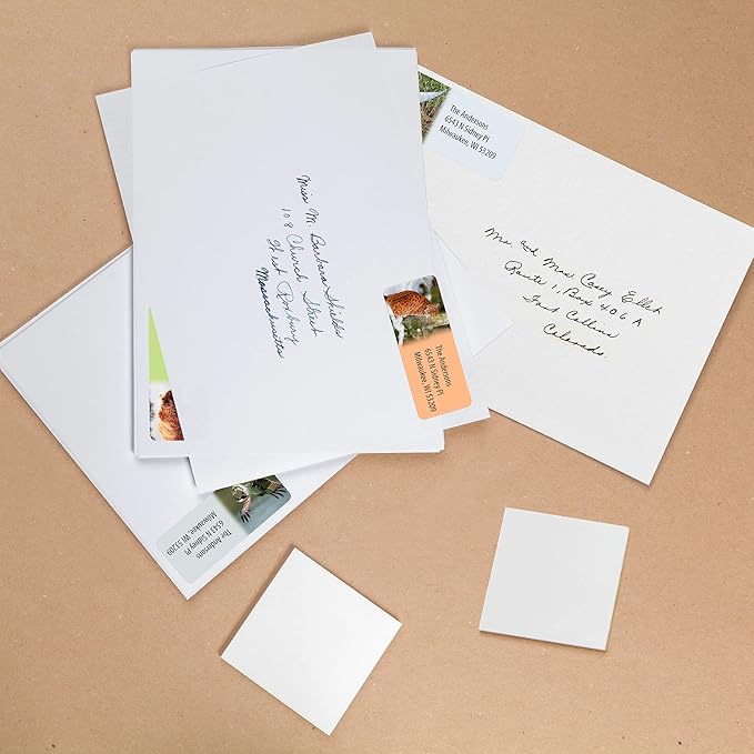 Customized Personalized Address Labels - Made in The USA by Kenco (500 Labels, Forest Wildlife)