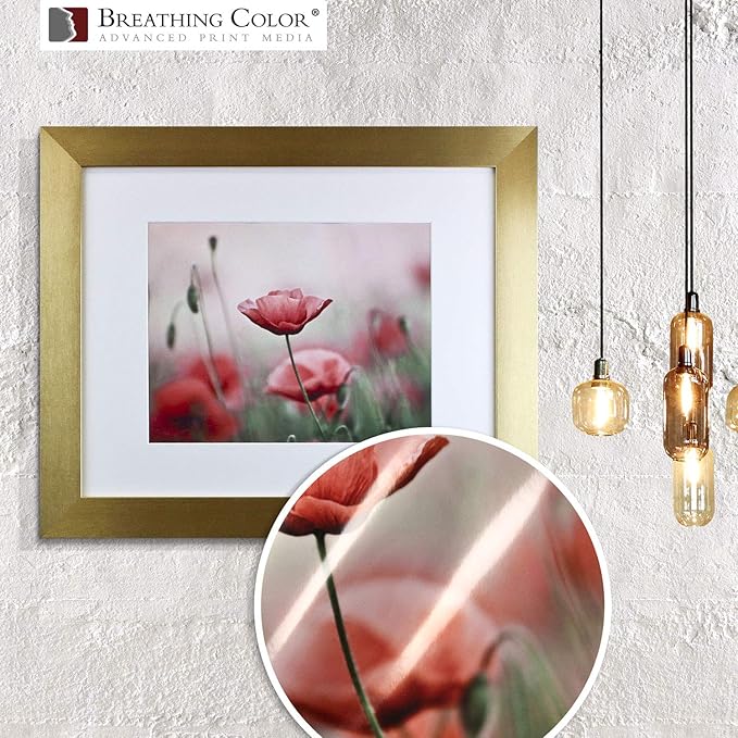 Vibrance Metallic Photo Printer Paper 10 mil 255 gsm Premium Photo Paper Roll 3in Core 17 inches x 100 feet Works with Most Inkjet Printers Including Professional Makes and Models Like Epson Canon HP