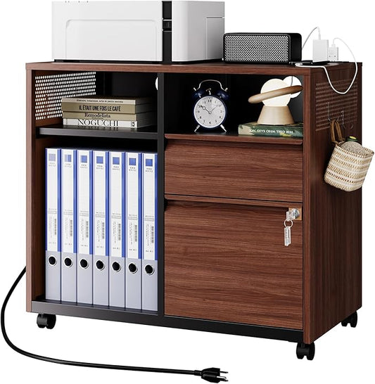Letaya Mobile 2 Drawer File Cabinet with Lock, Metal Lateral Printer Stand Filing Storage Cabinets with Shelves for Home Office-A4/F4/Letter (Charging Socket)