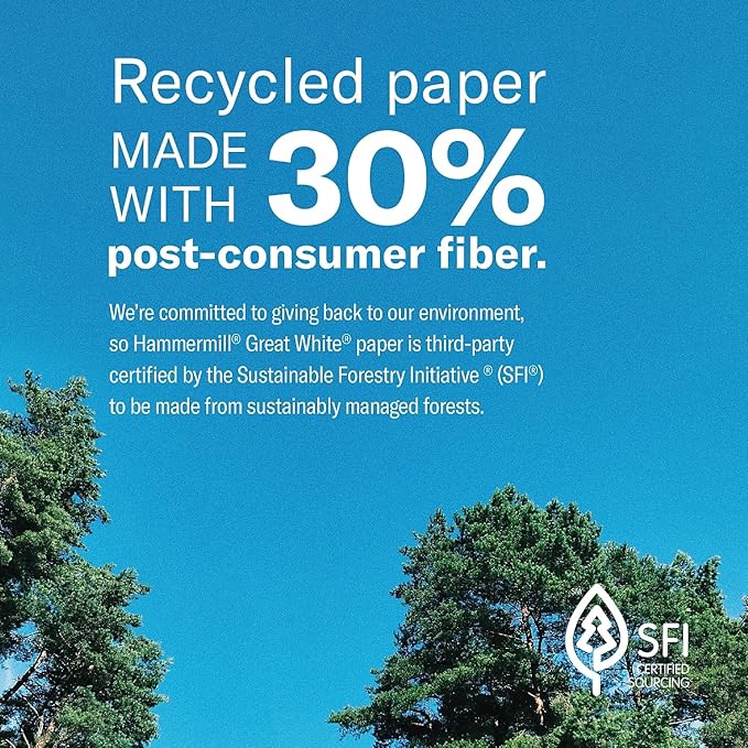 Hammermill Printer Paper, Great White 30% Recycled Paper, 3 Hole - 1 Ream (500 Sheets) - 92 Bright, Made in the USA, 086702